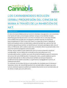los cannabinoides reducen (erbb2) progresión del cáncer de mama