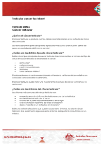 Ficha de datos Cáncer testicular