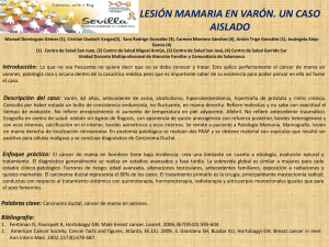 Presentación de PowerPoint