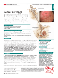 Cancer de vejiga