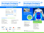 PROGRAMA CURSO UROLOGIA(spread)