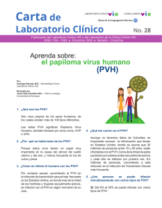 Carta Laboratorio 28 PVH.indd