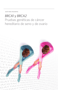 BRCA1 y BRCA2 Pruebas genéticas de cáncer
