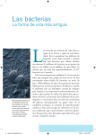 Las bacterias - Editorial Terracota