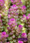 aquaforest - Club Acuarios Marinos