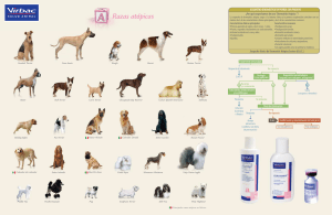 Razas at&oacute;picas - Web Veterinaria