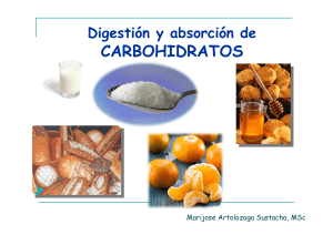 Digestión y absorción de CARBOHIDRATOS