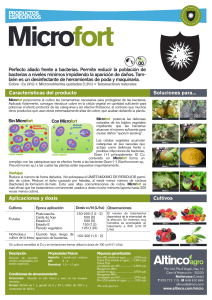 productos especificos