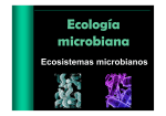 8. Ecologia microbiana