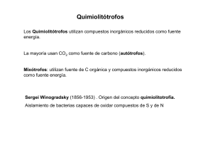 Quimiolitótrofos
