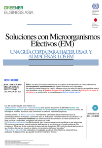 Soluciones con Microorganismos Efectivos (EM)