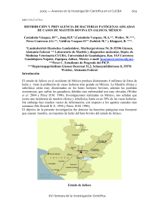 Castaneda-Vazquez Hugo 1 - Universidad de Guadalajara