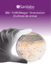 BBL™ CHROMagar™ Orientation - Sanilabo. Sanitaria de laboratorio.