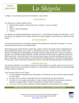 Shigella Fact Sheet