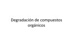 Teórica Degradación de compuestos orgánicos 2015