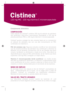 Prospecte CISTINEA.indd