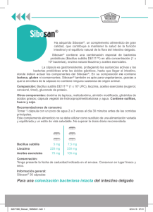 Para una colonización bacteriana intacta del intestino delgado