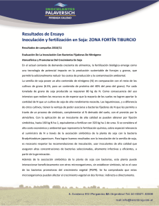 Resultados de Ensayo Inoculación y fertilización en Soja: ZONA