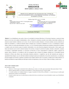 rhizofer - Biofabrica Siglo XXI