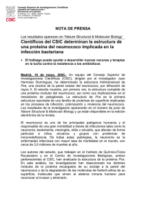 CSIC (16/05/2005) - "Rocasolano", CSIC