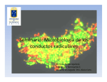 Microbiologia de los Conductos Radiculares