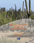 ¿Qué se mueve en el desierto?: historias del matorral sarcocaule