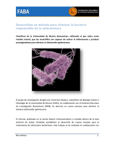 Desarrollan un método para eliminar la bacteria
