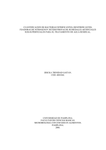 cuantificacion de bacterias nitrificantes, denitrificantes, fijadoras de