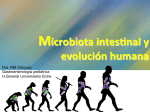 Microbiota intes@nal y evolución humana