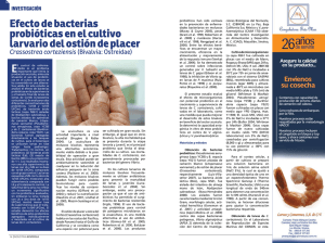 Efecto de bacterias probióticas en el cultivo
