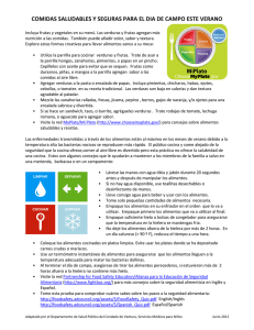 comidas saludables y seguras para el dia de campo este verano