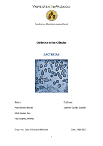 bacterias - El baúl de las ideas científicas