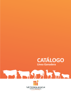 catálogo - Perulactea