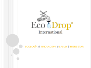 Nuestros principales campos de actuaci&oacute;n