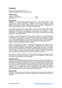 Cefaject - Agrovet Market