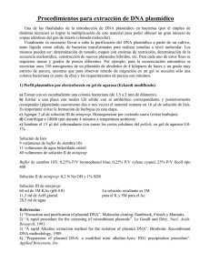 Procedimientos para extracci&oacute;n de DNA plasm&iacute;dico