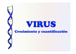 Virus Cultivos