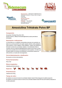 Amoxicilina Trihidrato Polvo BP