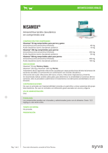 nisamox