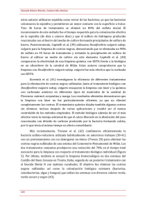 estos autores utilizaron sepiolita como vector de las bacterias, ya