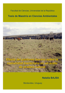 Efecto del pastoreo sobre la comunidad microbiana en un suelo de