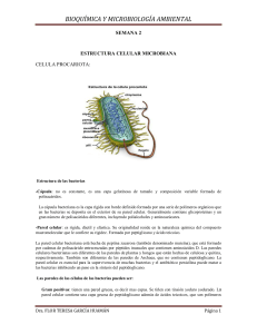 semana 2: estructura celular microbiana.