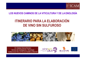 itinerario para la elaboración de vino sin sulfuroso
