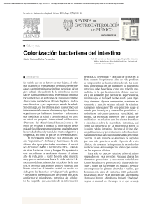 Colonización bacteriana del intestino