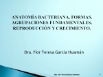 Dra. Flor Teresa García Huamán