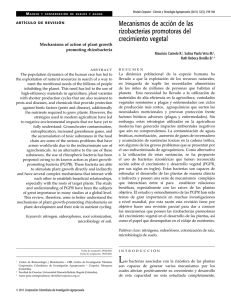 Mecanismos de acción de las rizobacterias promotoras del