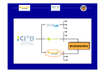 Descargar PDF resumen - Instituto de Microelectrónica de Madrid