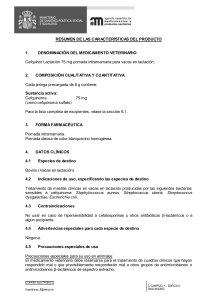 FICHA T&Eacute;CNICA CEFQUINOR LACTACION 75 mg