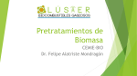 02_PretratamientoCluster Biocombustibles Gaseosos