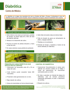 art&iacute;culo completo aqu&iacute;